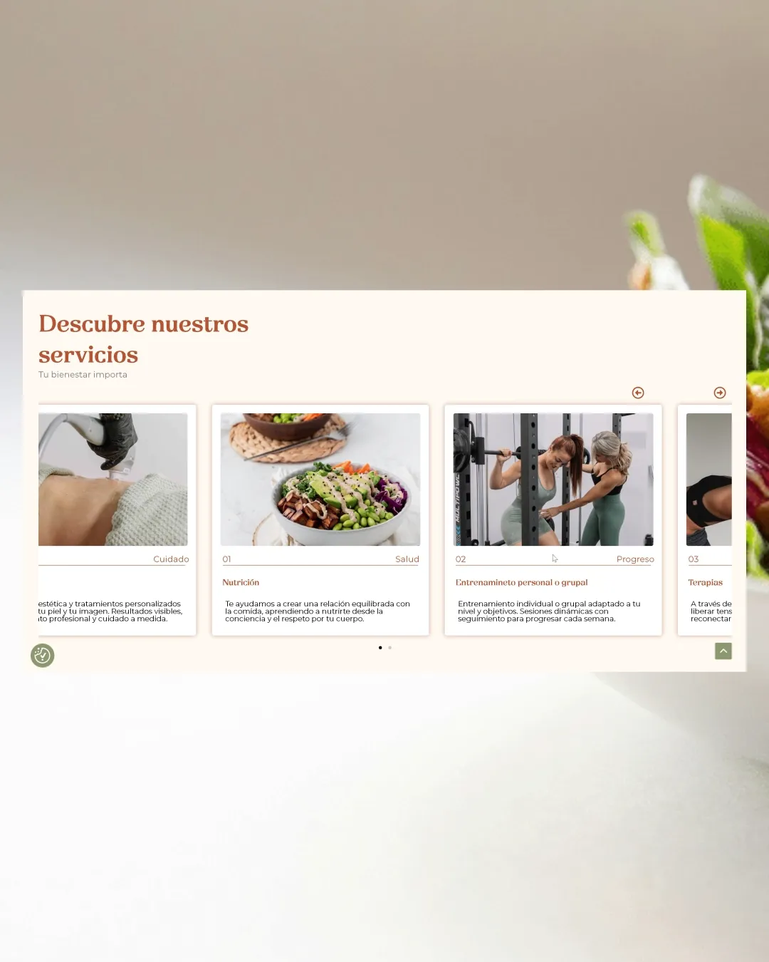 Centro Vibra — diseño web para centro de bienestar