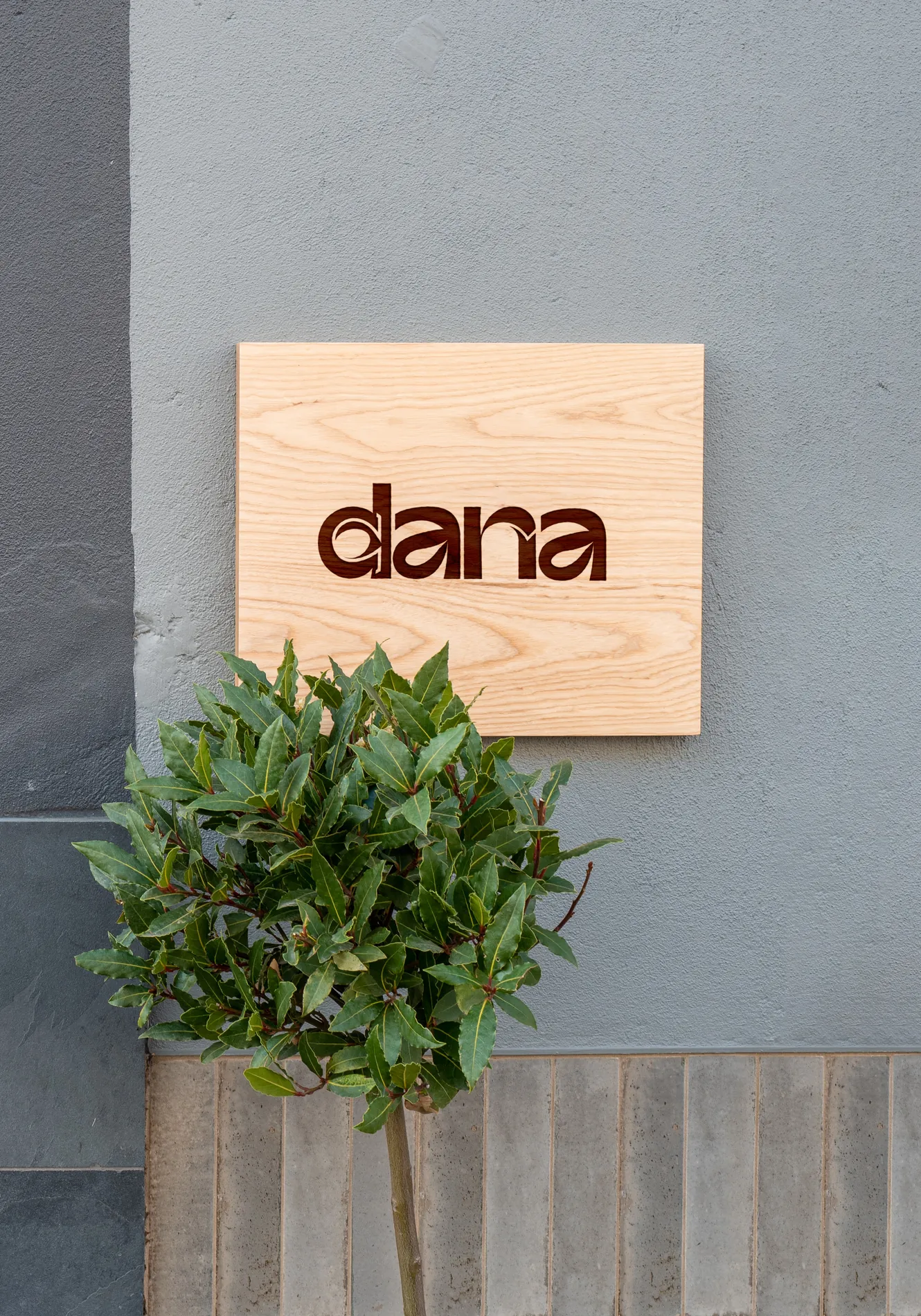 Dana Clara — Branding · Identidad visual, Simbiosi Studio
