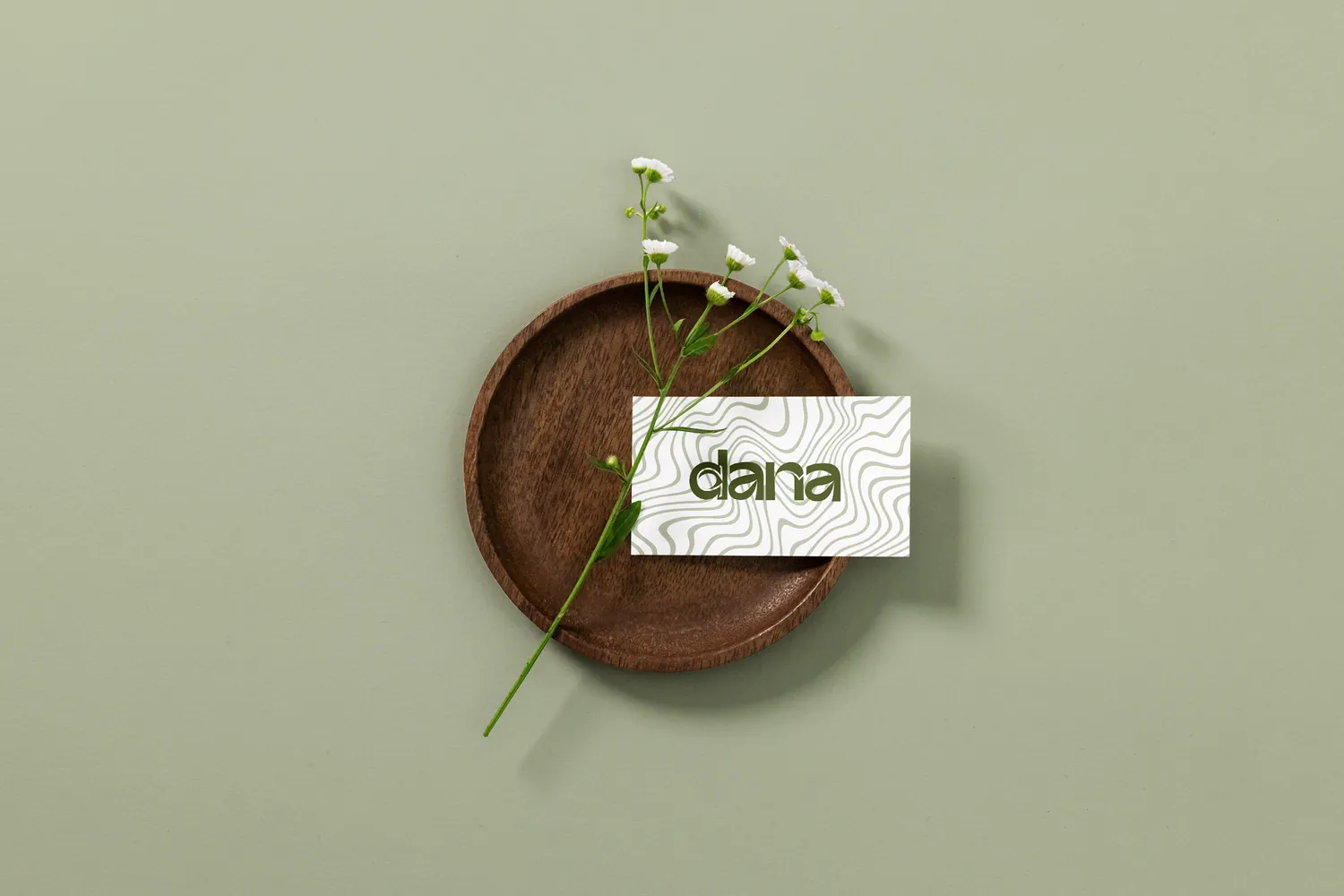 Dana Clara — Branding · Identidad visual, Simbiosi Studio