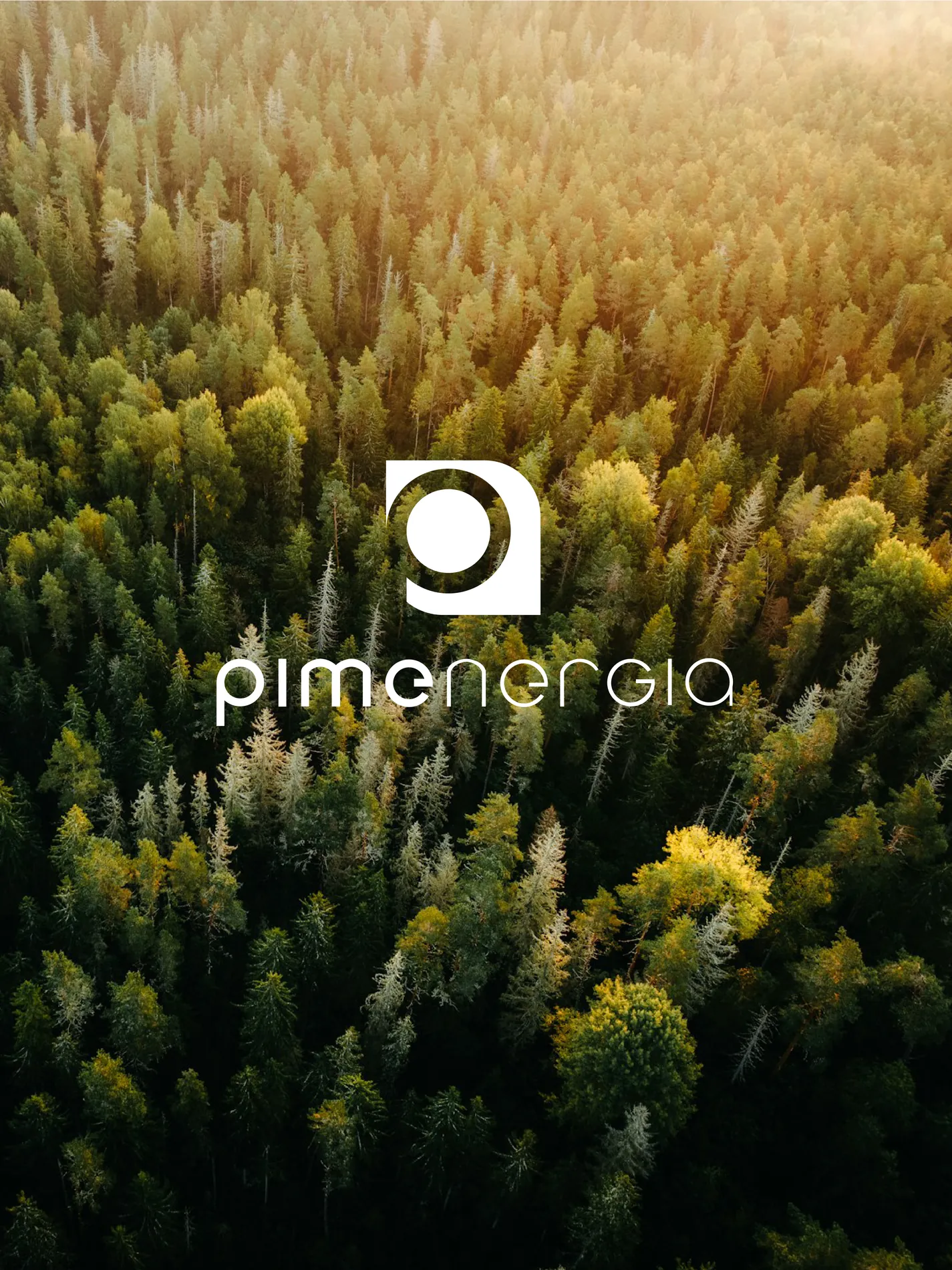 Pimenergia — Branding, Simbiosi Studio