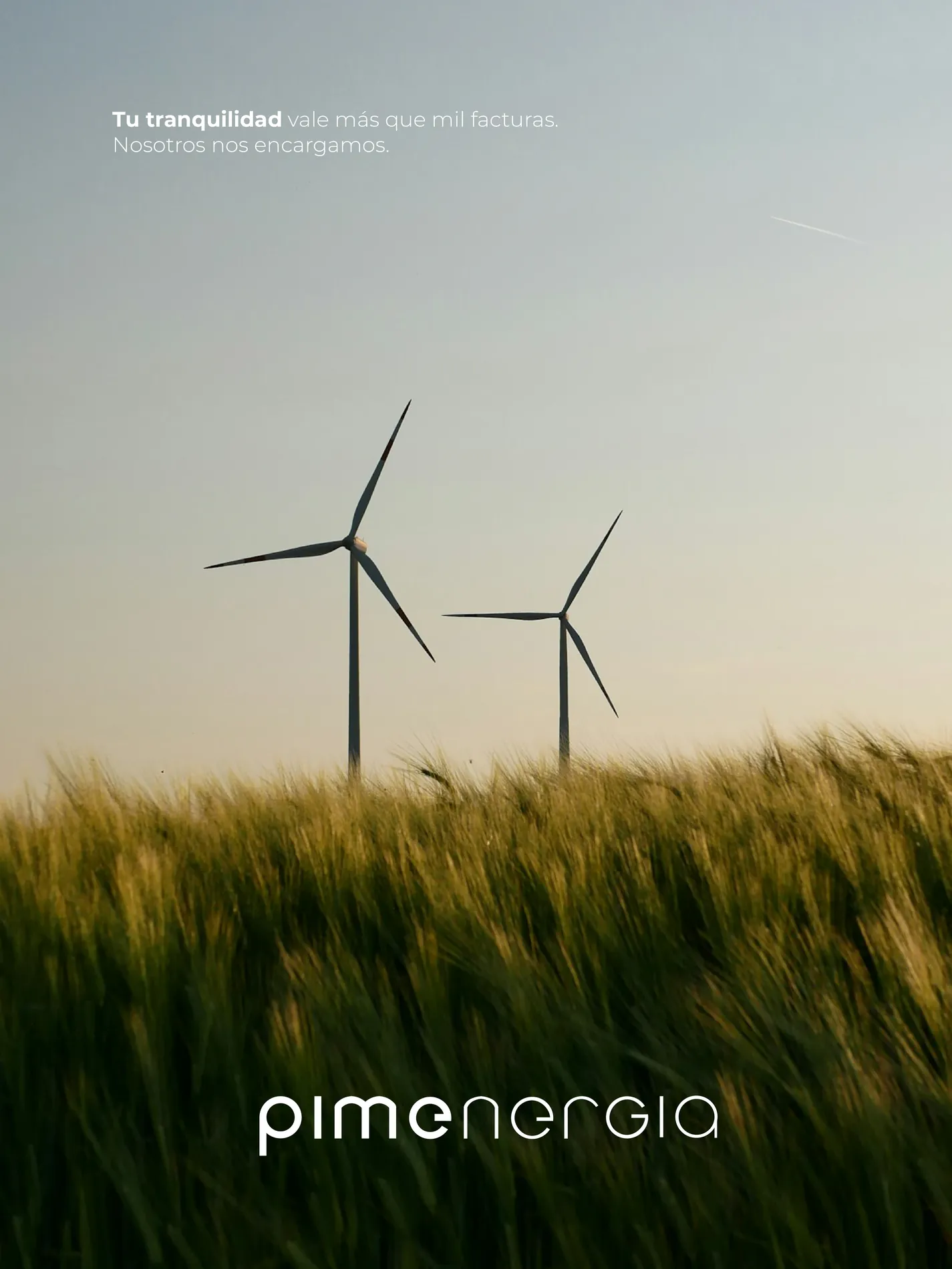 Pimenergia — Branding · Web, Simbiosi Studio